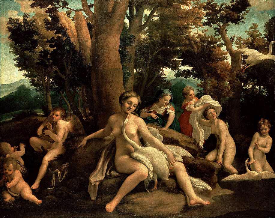 Leda non amava Tindaro